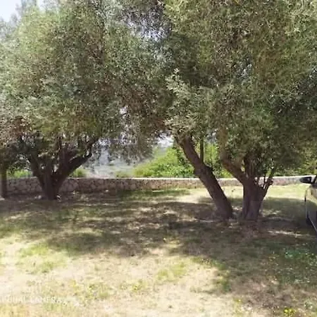 Balkoni Dilinata Διαμέρισμα